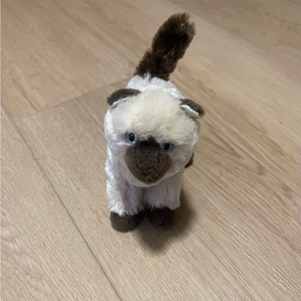 Douglas Cuddle Toys Light Brown Siamese Cat Plush 6  Inch